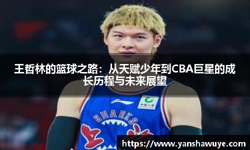 bsports体育官网