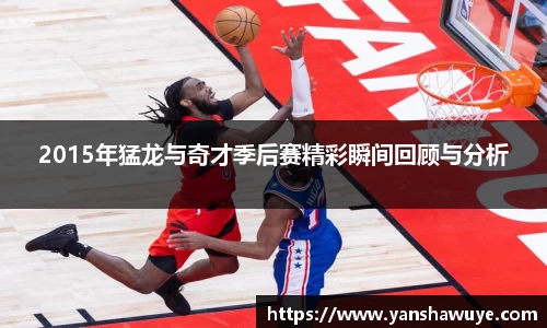 2015年猛龙与奇才季后赛精彩瞬间回顾与分析